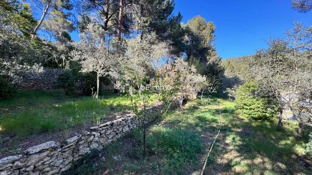 Giardino - Bastide with 8,000m² Garden in Salon-de-Provence