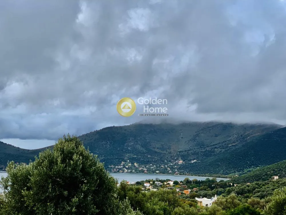 Panoramic Plot with Olive Trees in Almyropotamos
