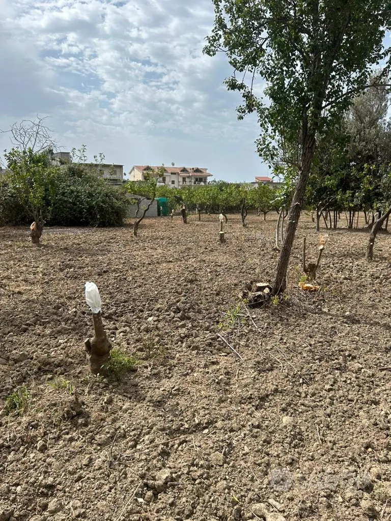 Jardin - Buildable Land with Irrigation in San Carlo