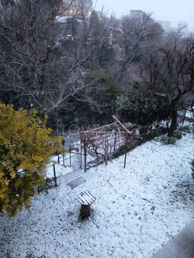 Jardin - Rustic Villa with Garden in Trieste
