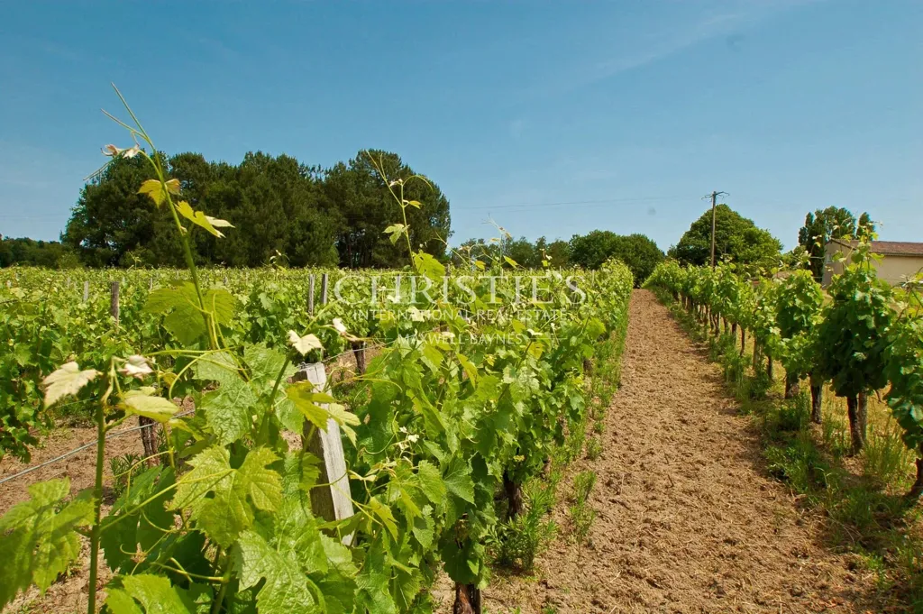 Jardin - Vignoble de Loisirs avec Piscine Intérieure à AOC Côtes de Bordeaux
