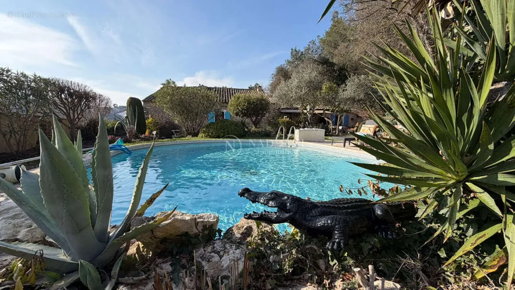 Piscine - Propriété de Caractère avec Piscine à Ménerbes