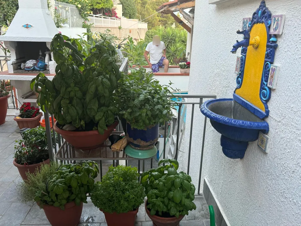 Terrasse - Apartment with Terrace and Balcony in Scalea