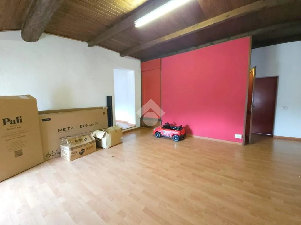 Toad - Spacious Independent House in Goito