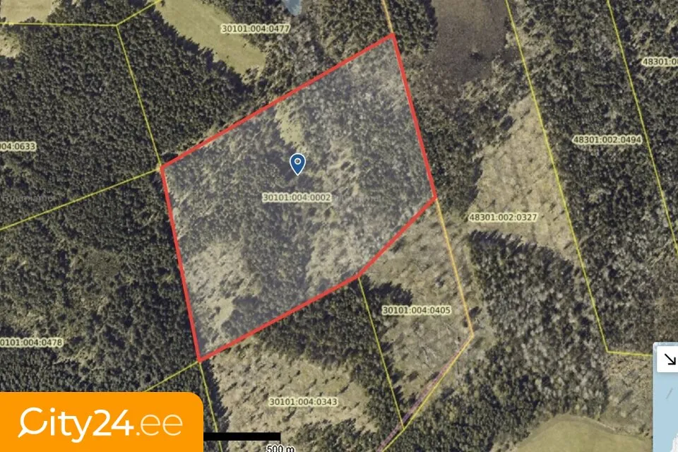 Forest Farming Land in Saaremaa