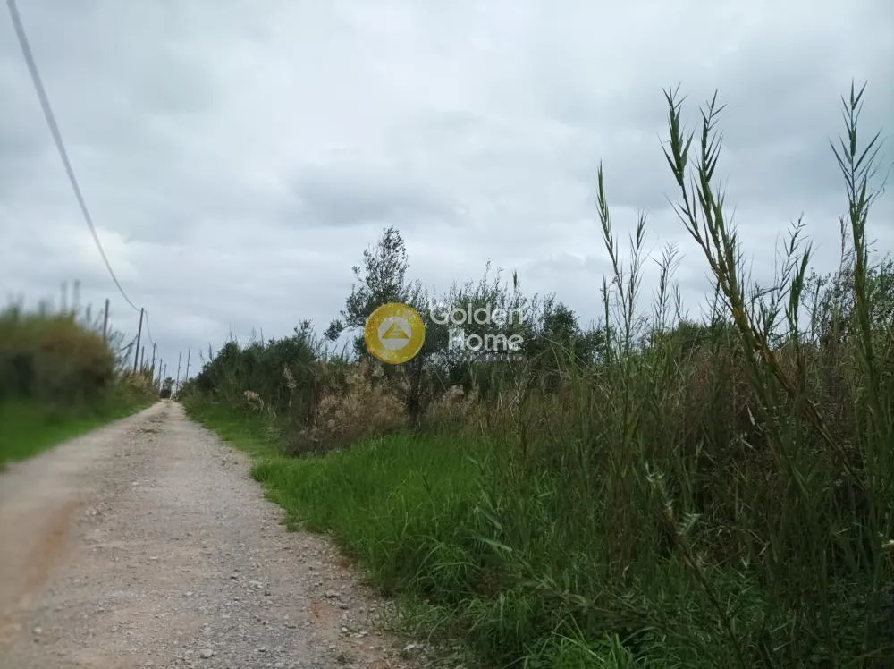 Aed - Buildable Plot with Sea View in Aprovouna, Chania