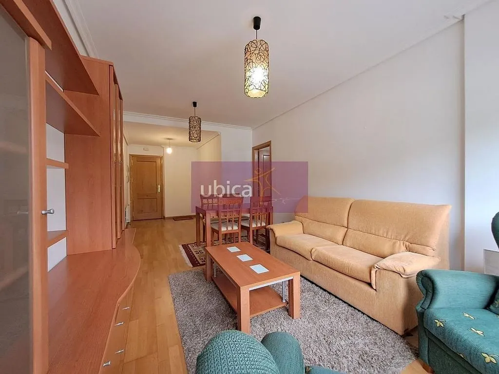 Séjour - T2 Apartment with Terrace in Salceda de Caselas