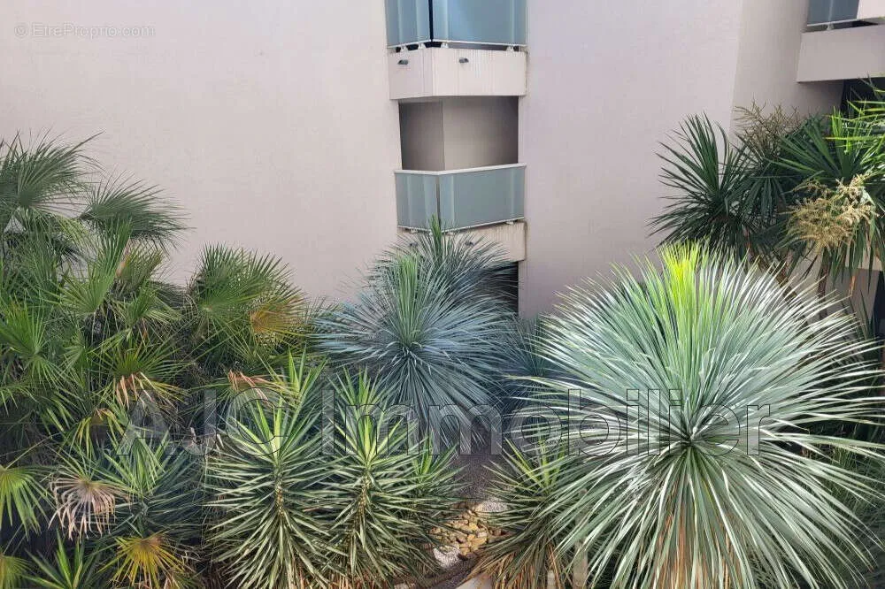 Giardino - Apartment with Terrace in Castelnau Centre
