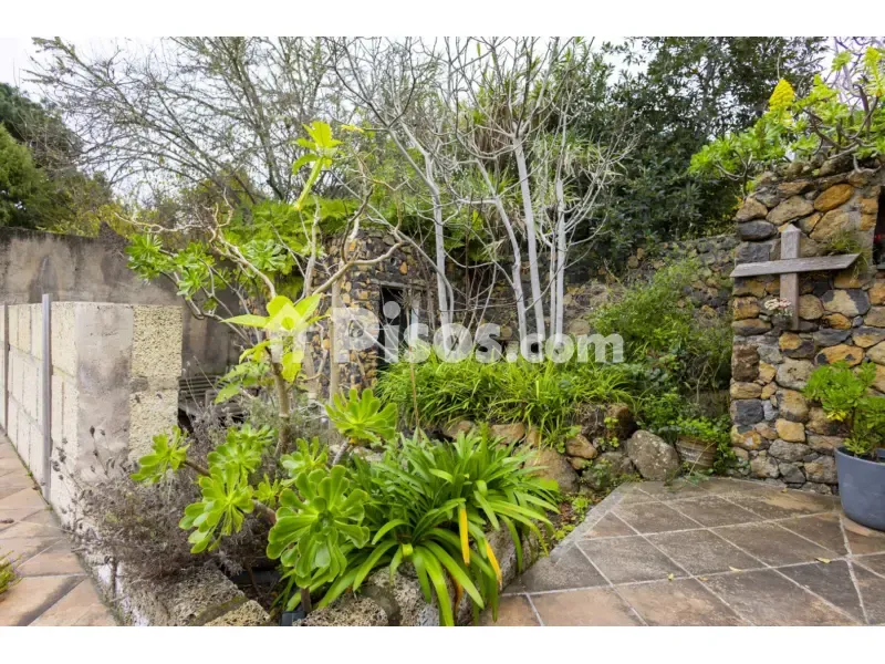 Jardin - Rustic Finca with Ocean Views in Boquín