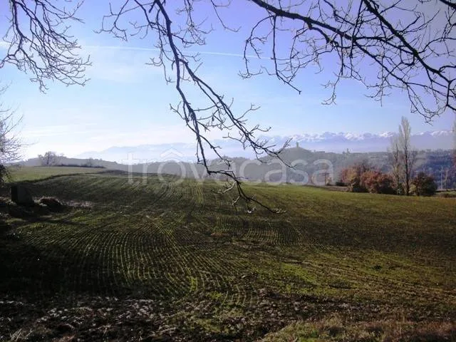 Garden - Rustic Stone Casale with Cultivable Land in Murazzano