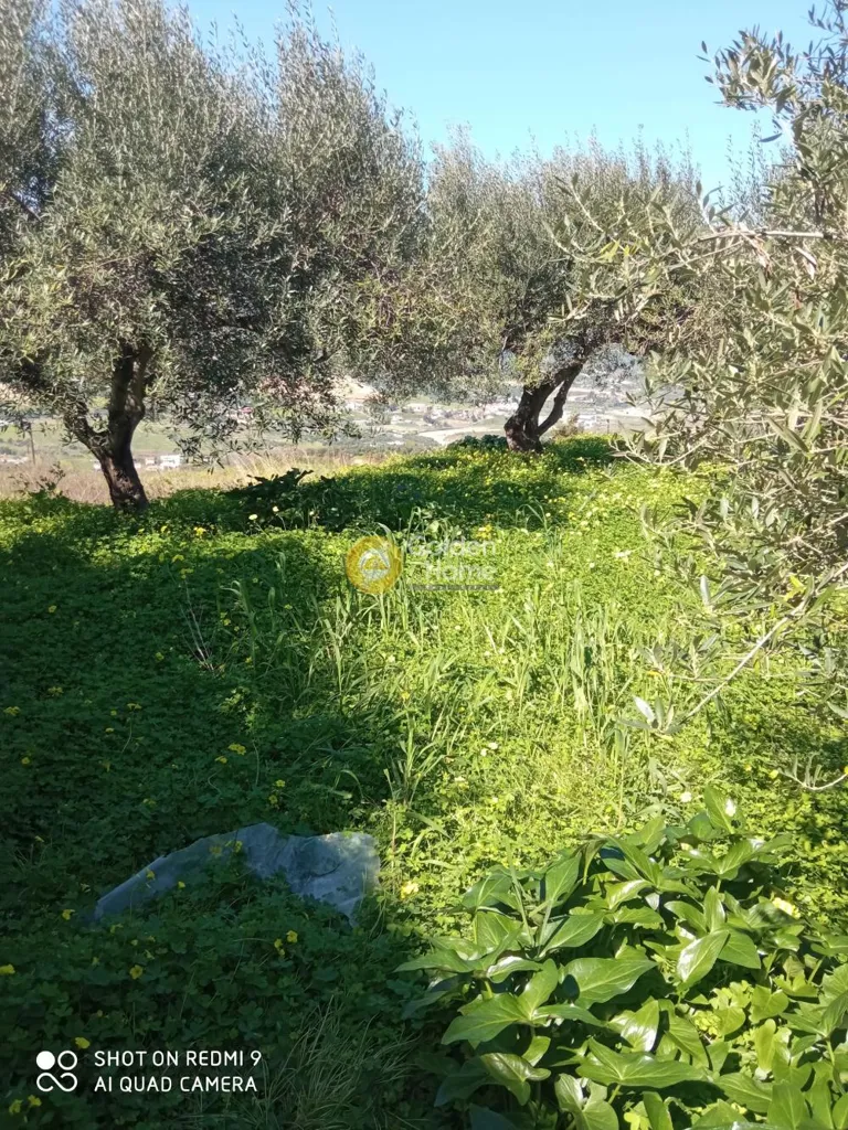 Aed - Plot with Panoramic Sea View in Heraklion, Crete