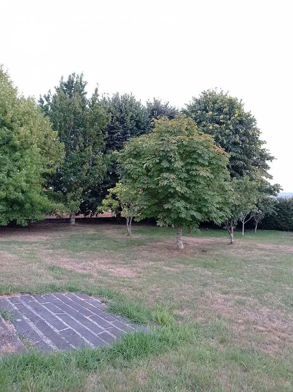 Giardino - Chalet with Golf Course Views near Perbes