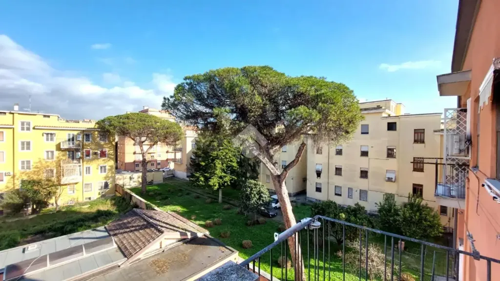 Jardin - Apartment with Balconies near Piazza del Popolo, Latina