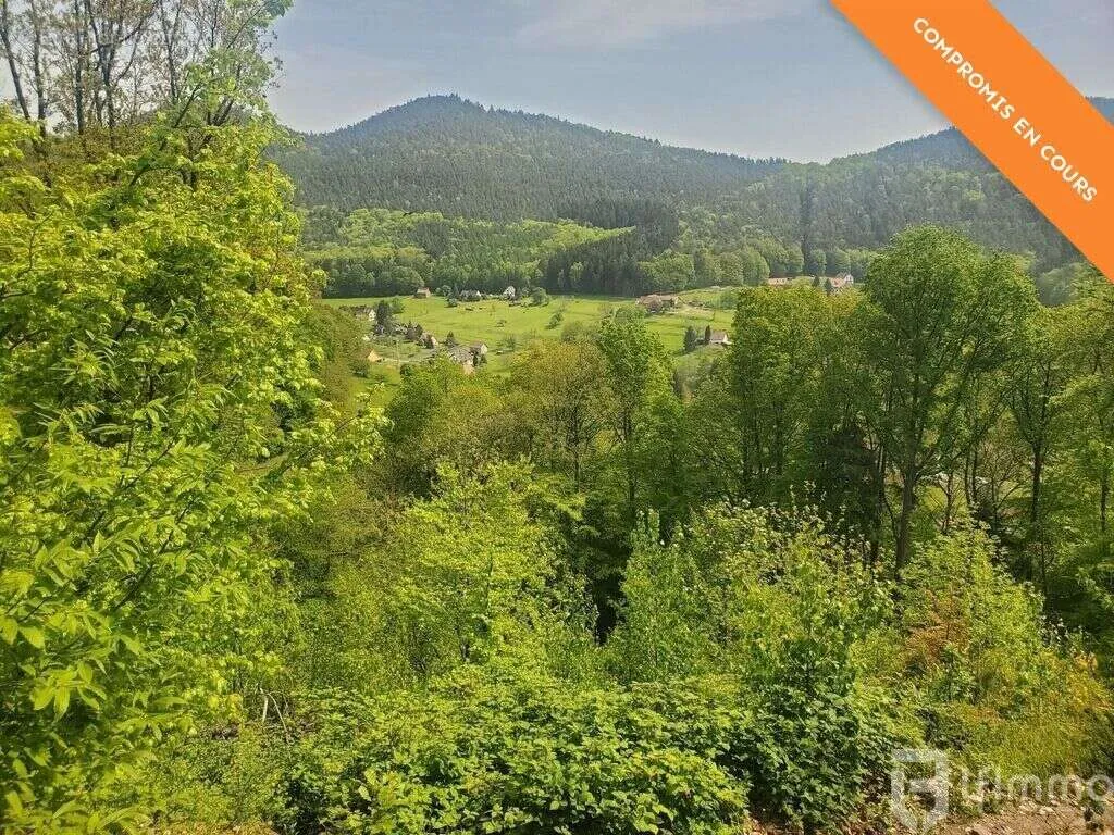 Terrain à Bâtir avec Vue sur la Vallée à Windstein