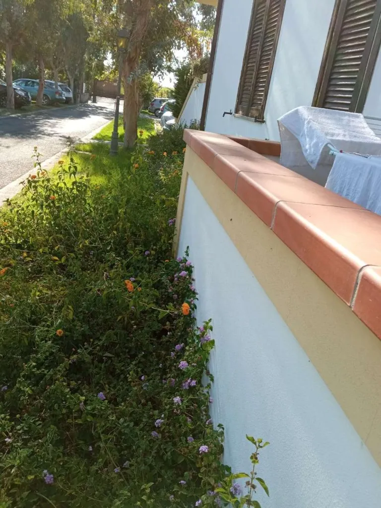 Aed - Apartment with Garden in Scalea
