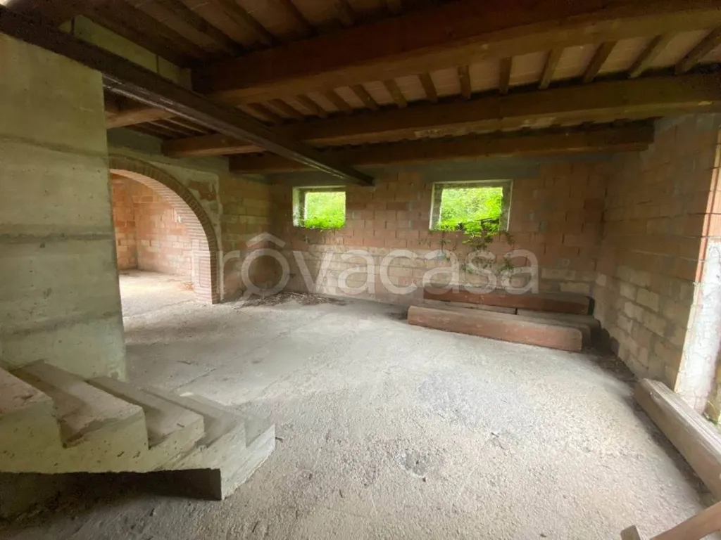 cellar