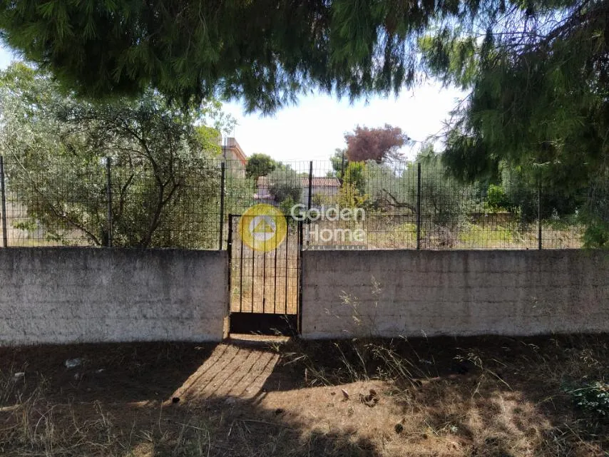 Jardin - Agricultural Plot with Sea View in Artemida