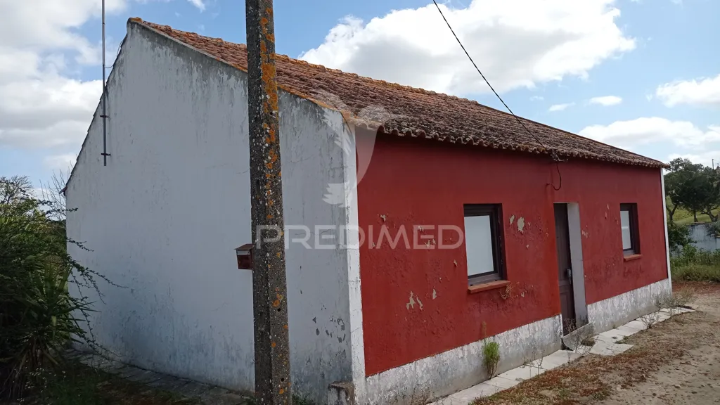 Välivaade - Traditional House with Fruit Trees in Couço, Coruche