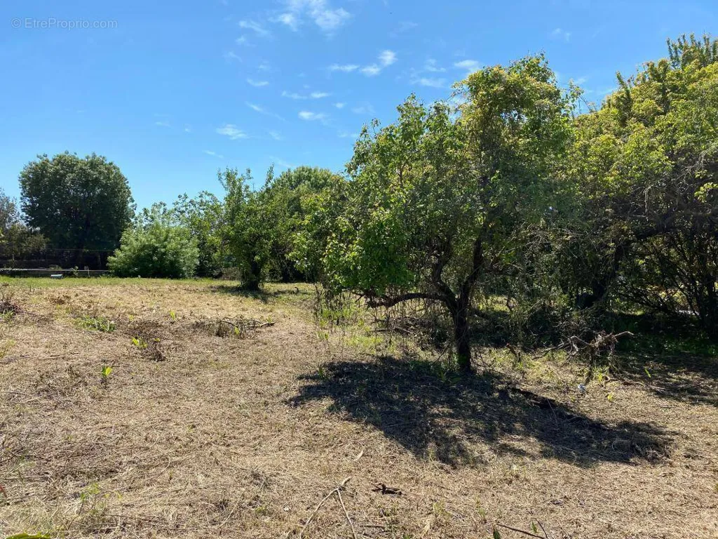 Aed - Buildable Plot with Views in Cannes