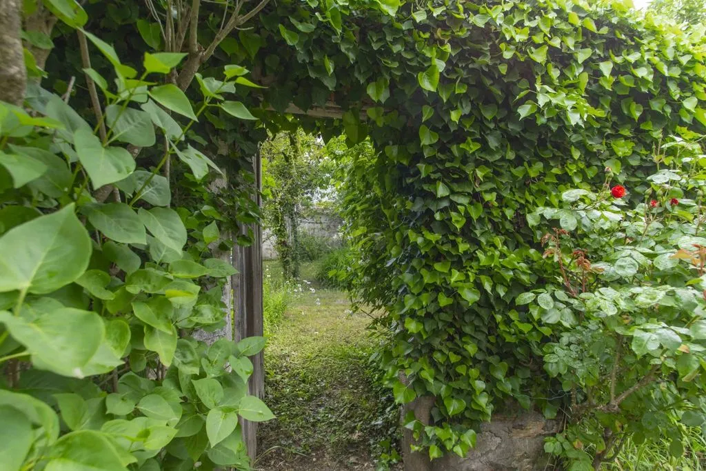 Aed - Farmhouse to Restore with Barns in Fontainebleau