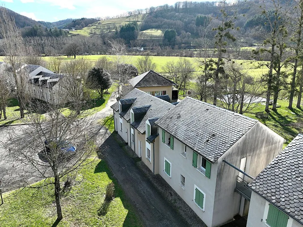Vue aérienne - Appartement avec Piscine à Saint-Geniez-d'Olt