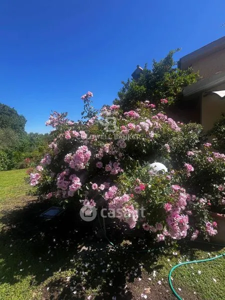 Aed - Villa with Infinity Pool in Viterbo