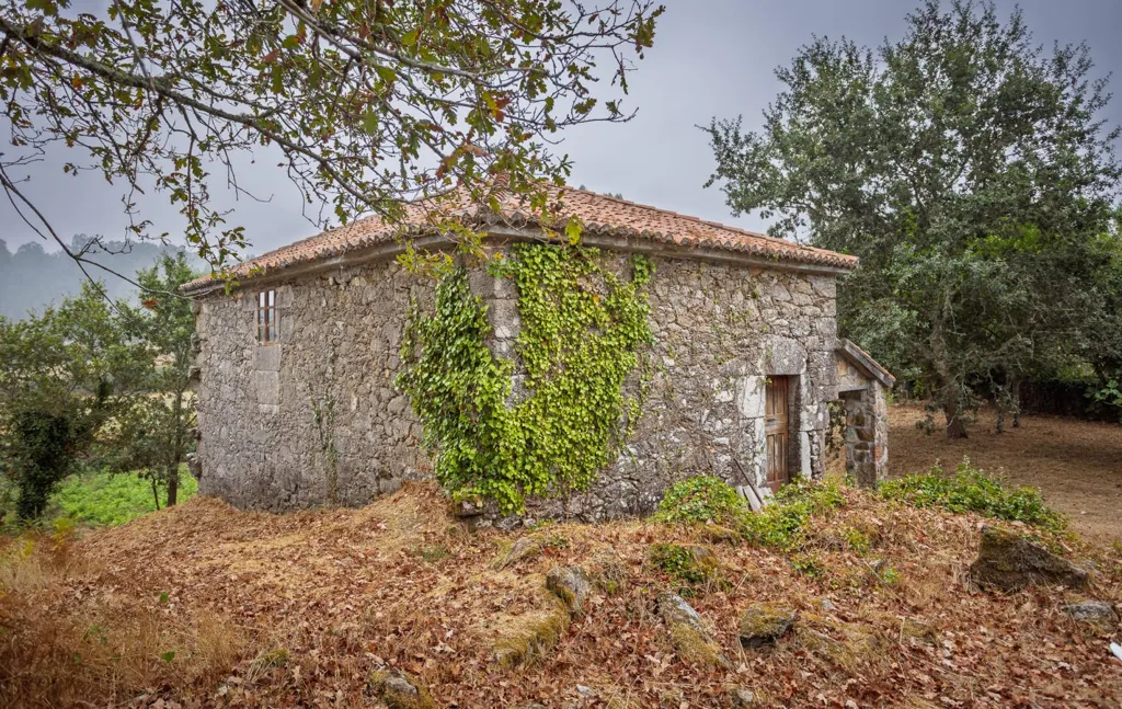 Esterno - Restoration Opportunity with Forest in Silleda