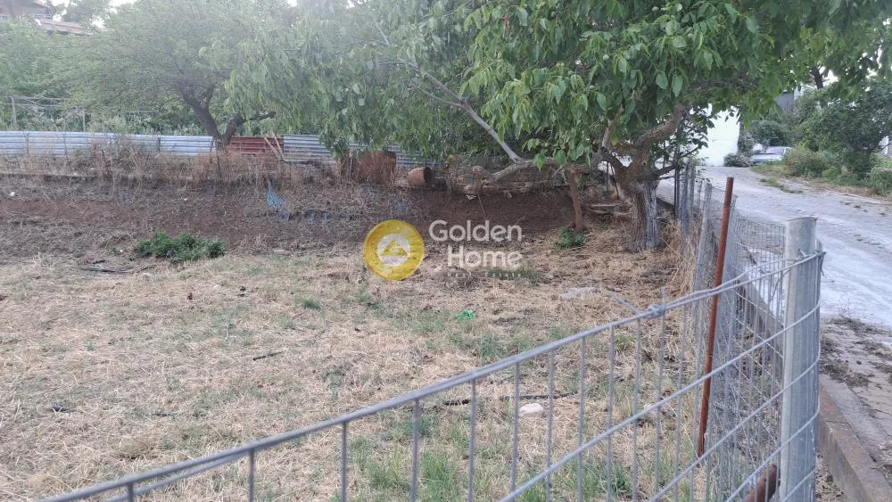 Jardín - Building Land with Forest View in Kryoneri Centre