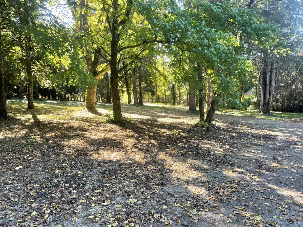 Jardin - Maison en Pierre avec Parc à Limoges