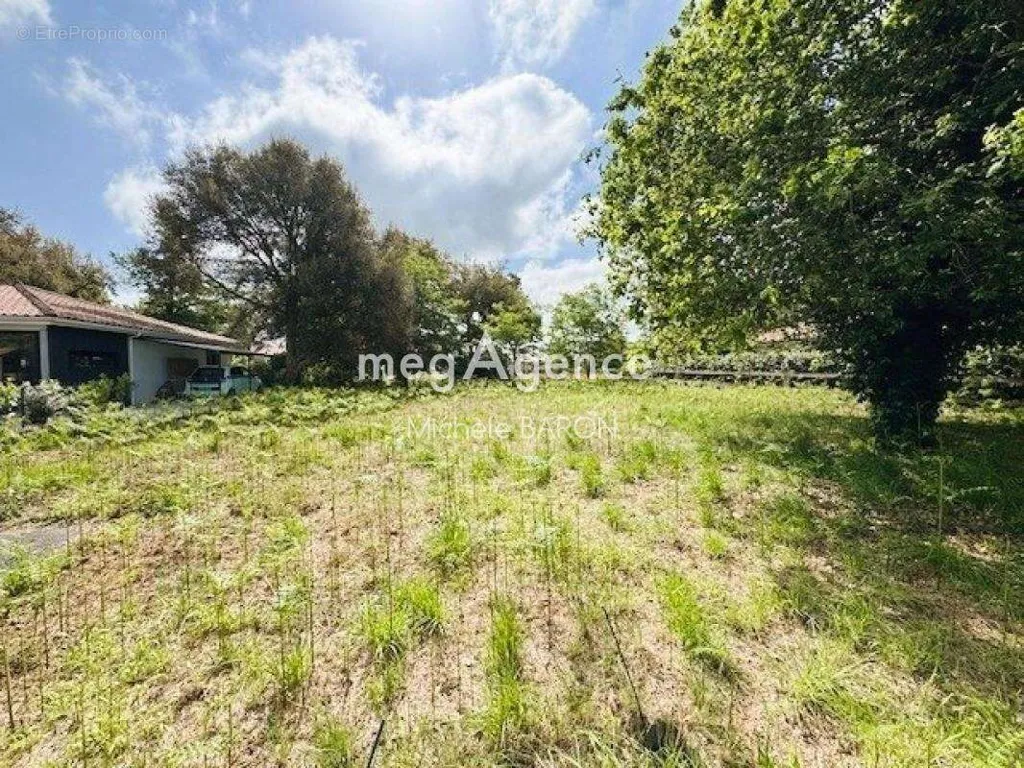 Aed - Buildable Plot with Golf Access in Moliets