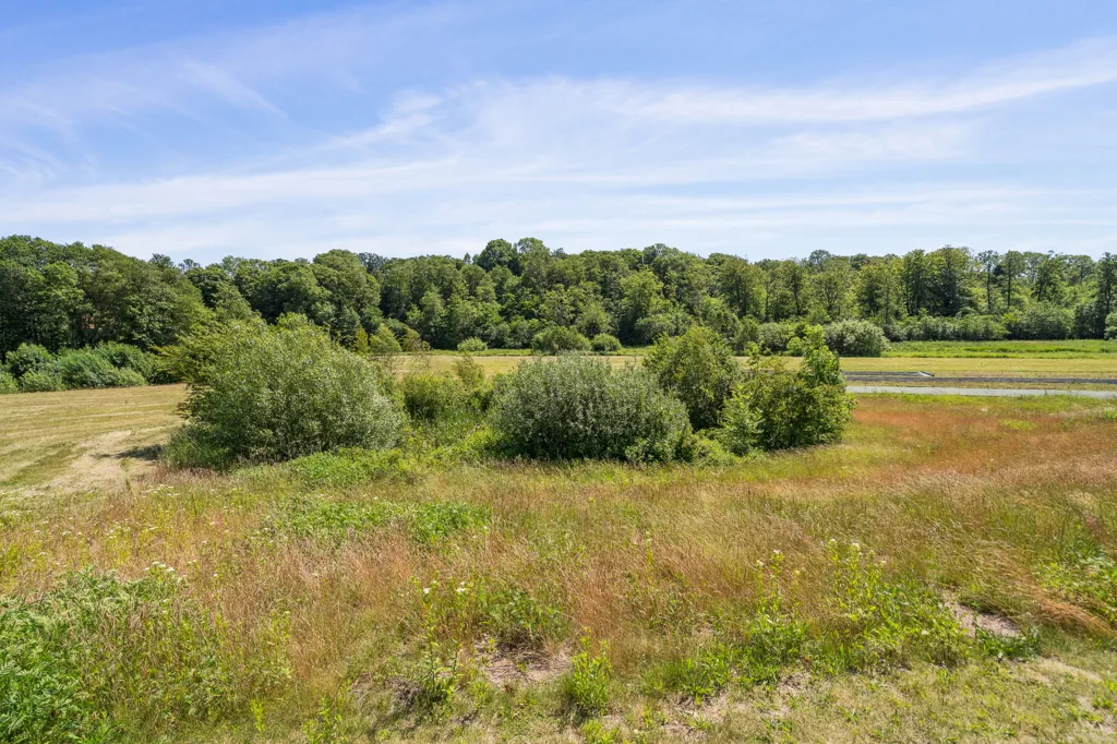 Jardin - Contemporary Villa with River View in Odense