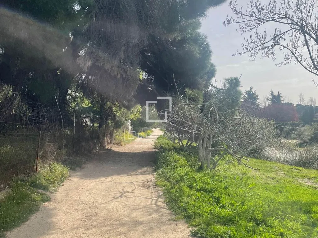 Jardin - Plot with Garden in Majadahonda