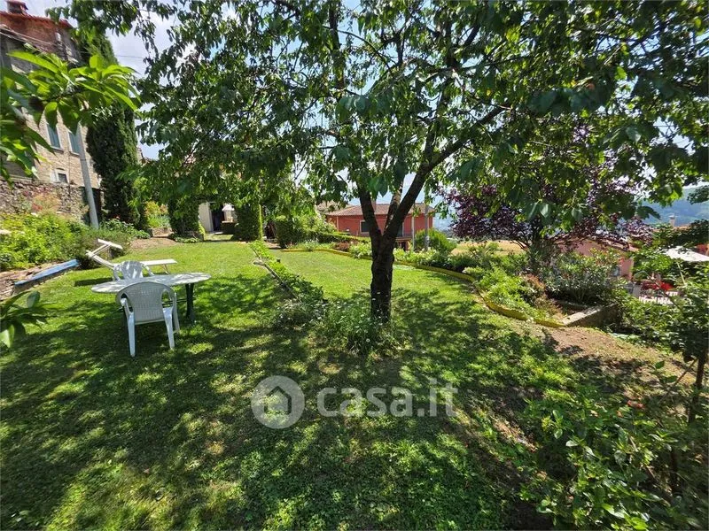 Jardin - Restored Rustico with Garden in Camporgiano