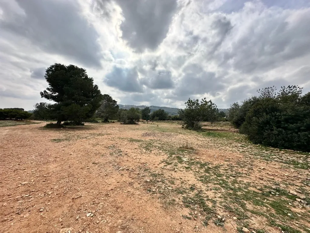 Garden - Agricultural Land in Rural Area