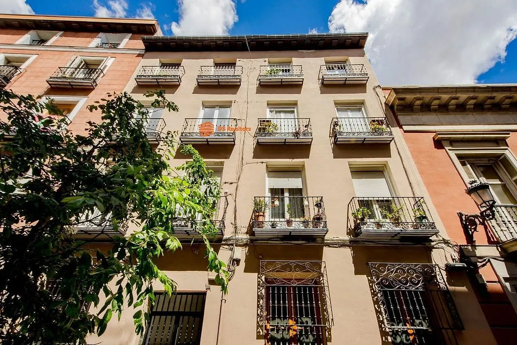 Extérieur - Luxury Apartment with Rustic Elegance in Madrid