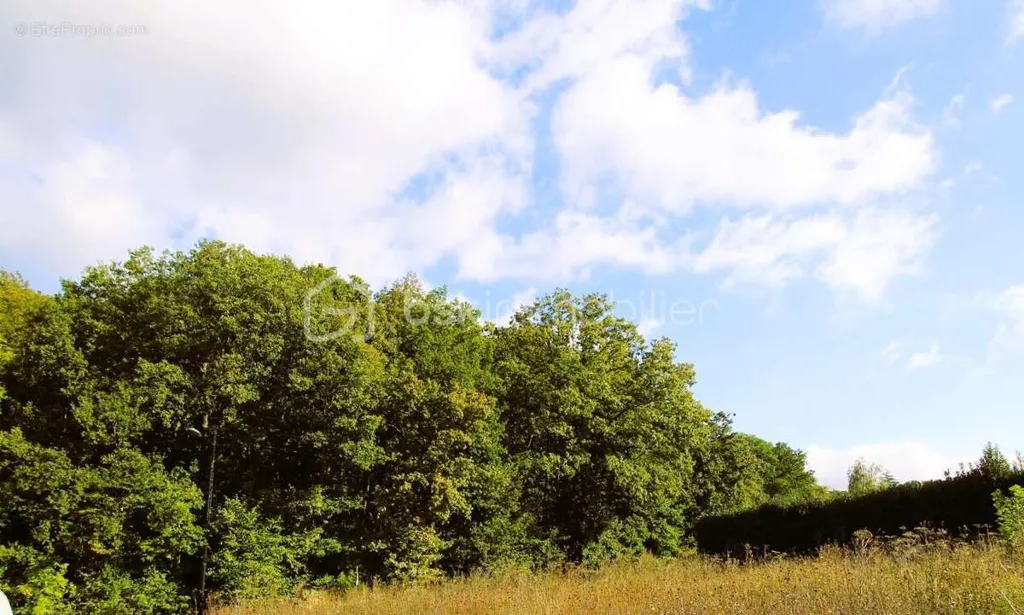 Giardino - Buildable Plot with Forest View near Épernon