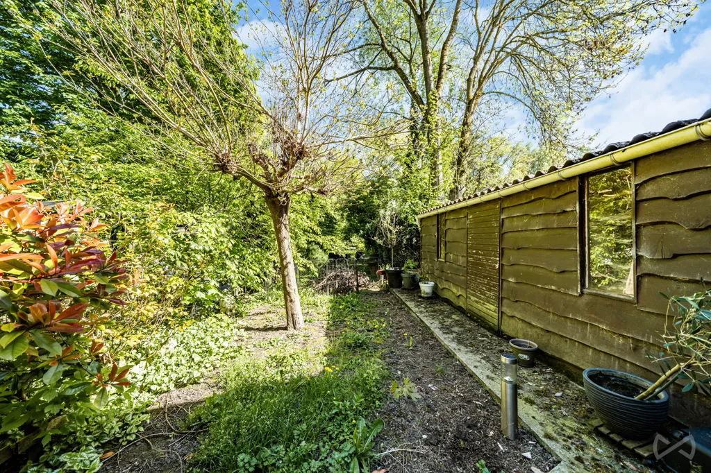 garden