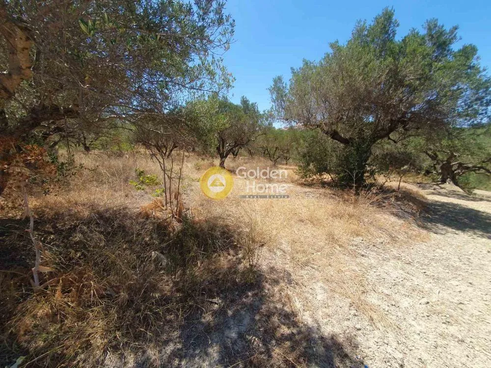 Jardin - Buildable Plot with Sea View in Episkopi
