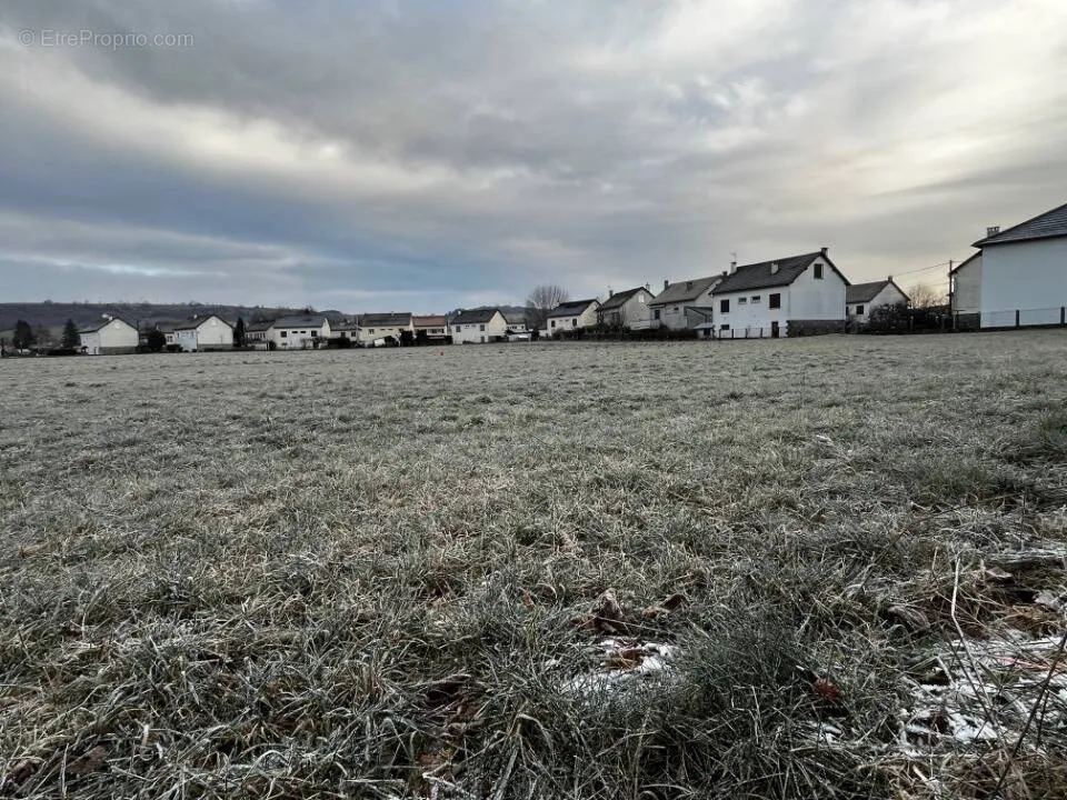 Garden - Flat Terrain with Garden in Jussac