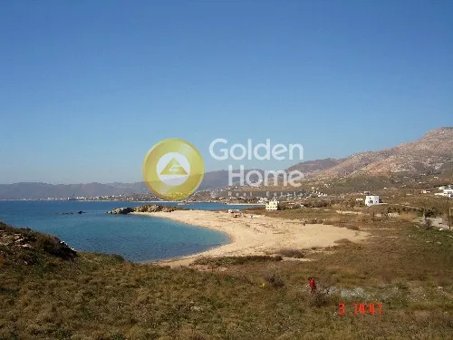 Garden - Plot for Development in Karystos Centre