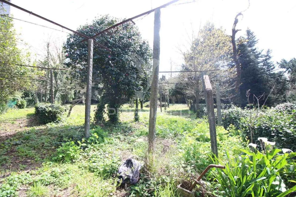 Aed - Development Land with Shops in Guimarães
