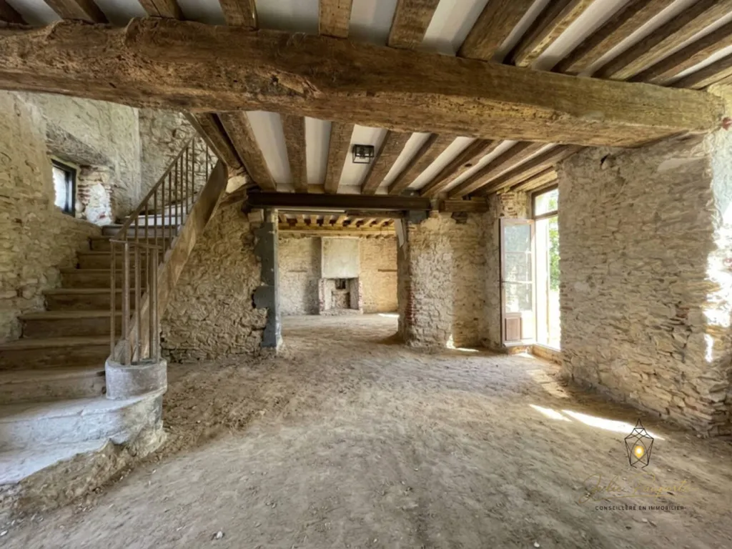 Toad - Character House with Renovation Potential in Mormant-sur-Vernisson