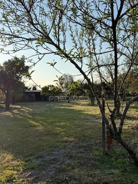 Jardin - Detached House with Fruit Trees in Água Derramada
