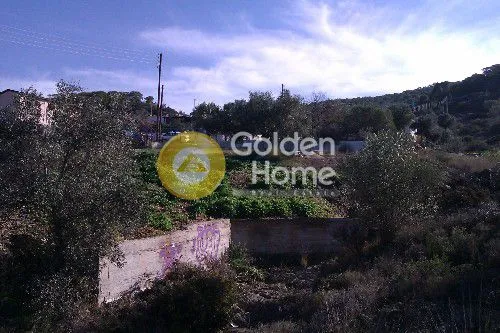 Jardin - Detached House with Garden in Ampelakia Centre