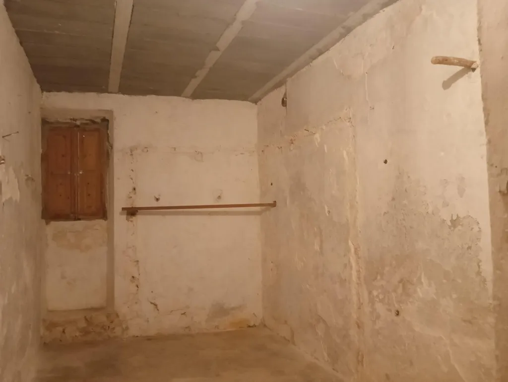 Toad - Luxury Farmhouse with Well in Manacor