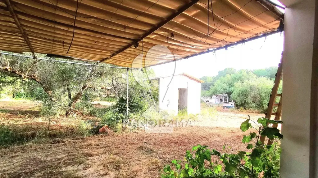 Garden - Villa with Olive Grove in Partinico