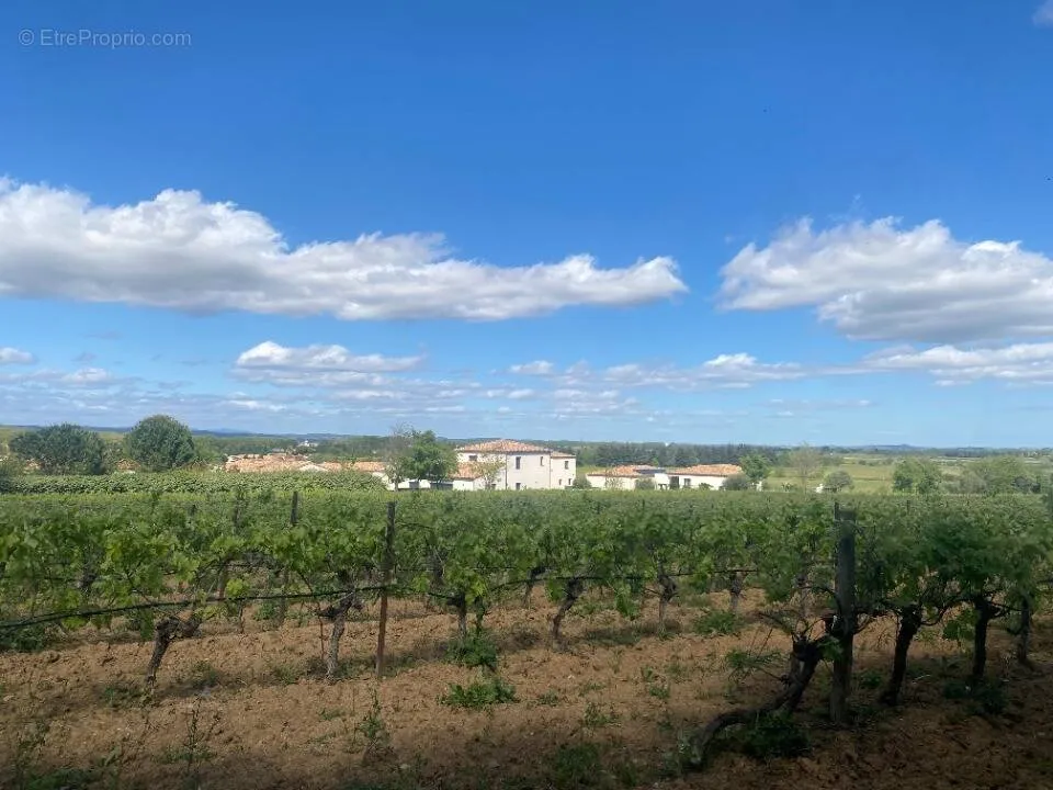 Aed - Buildable Plot with Garden in Ginestas