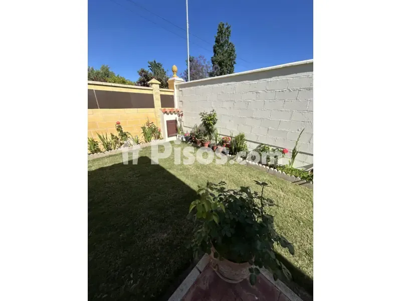 Jardin - Chalet with Pool in El Santiscal