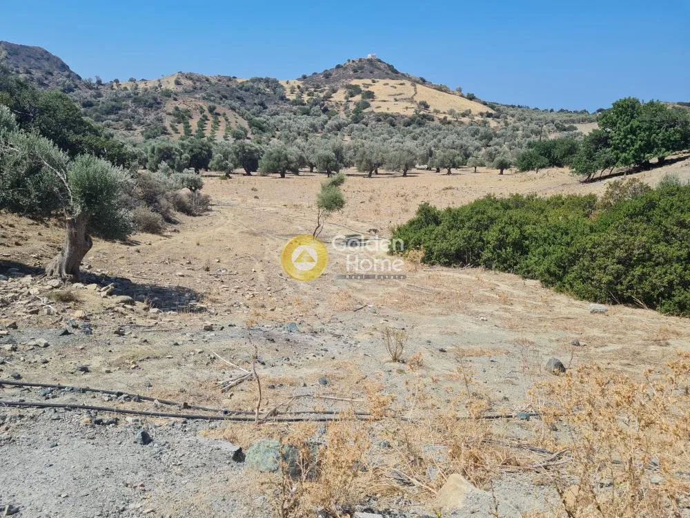 Aed - Buildable Plot with Forest View in Xerokampos