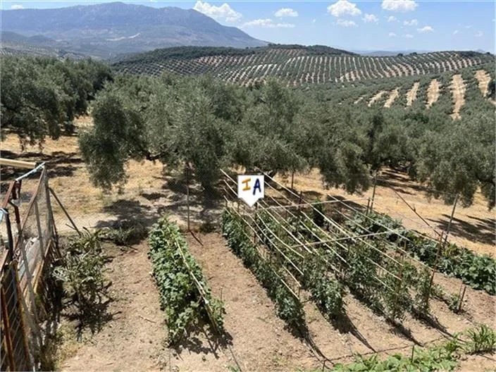Jardin - Cortijo Villa with Pool in Rute, Andalucia